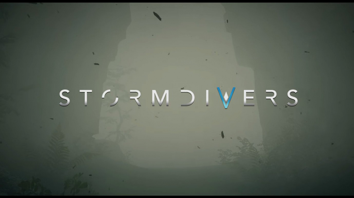 Stormdivers