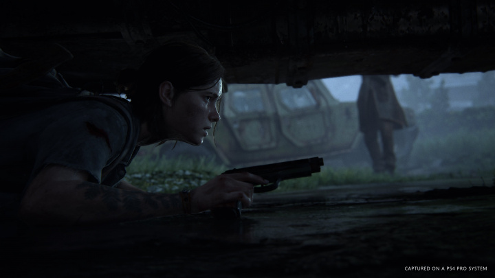 Známe datum vydání The Last of Us 2 s Ellie v hlavní roli