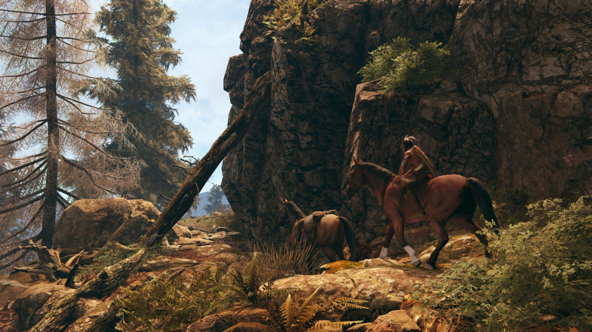 This Land Is My Land