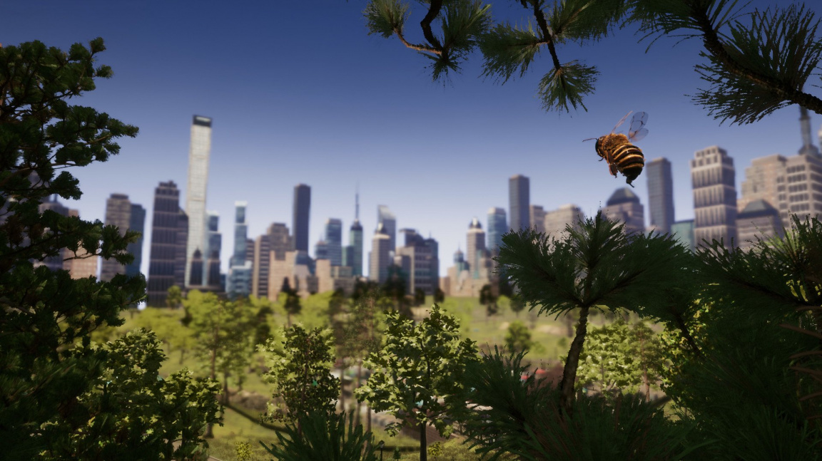 Simulátor včely vyjde na podzim, vydáte se v něm do New Yorku