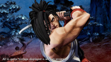 Samurai Spirits