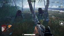 Fear the Wolves