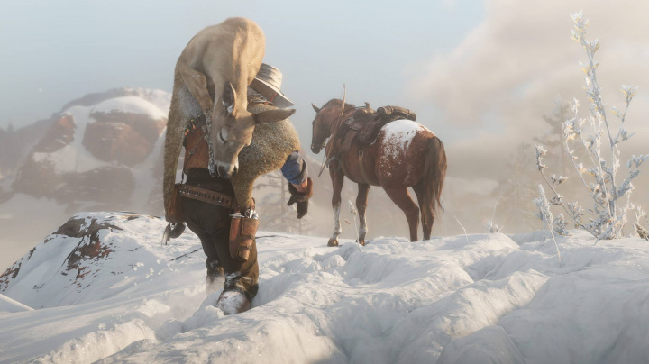 Red Dead Online chce novým updatem bojovat proti griefingu