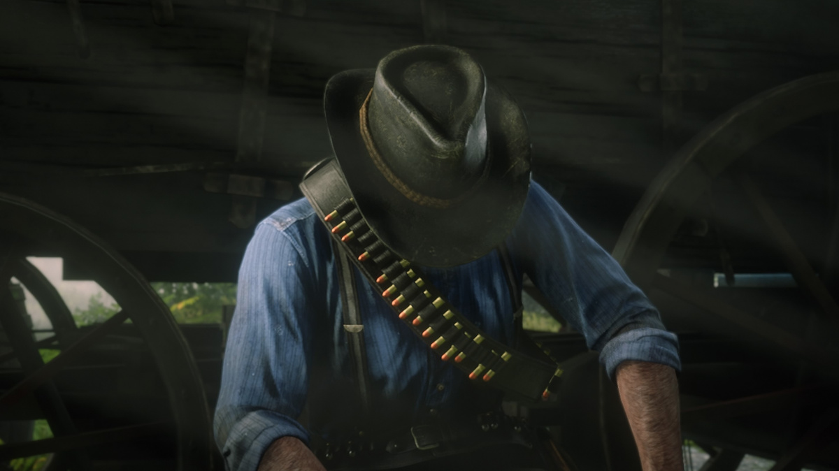 Red Dead Redemption II obrazem