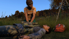 DayZ (standalone)