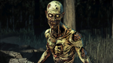 The Walking Dead: The Final Season