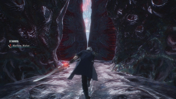 Devil May Cry 5