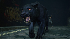 Devil May Cry 5