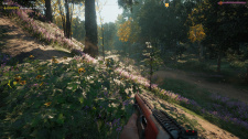 Far Cry New Dawn
