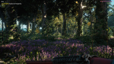 Far Cry New Dawn