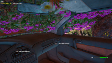 Far Cry New Dawn