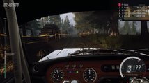 DiRT Rally 2.0