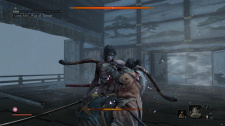 Sekiro: Shadows Die Twice