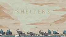 Shelter 3