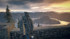 Days Gone