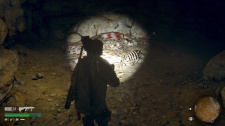 Days Gone