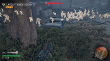 Days Gone