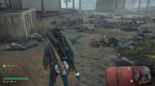 Days Gone