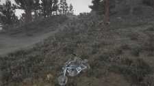 Days Gone