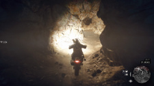Days Gone