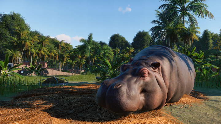 Dojmy z Gamescomu: V Planet Zoo se rodí nový král tycoonů
