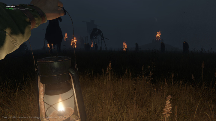 Pathologic 2