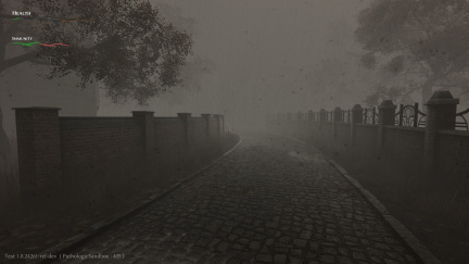 Pathologic 2