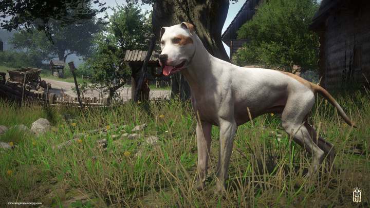 Propracovaný mod vám ulehčí Kingdom Come: Deliverance