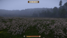 Kingdom Come: Deliverance - A Woman's Lot