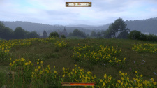 Kingdom Come: Deliverance - A Woman's Lot