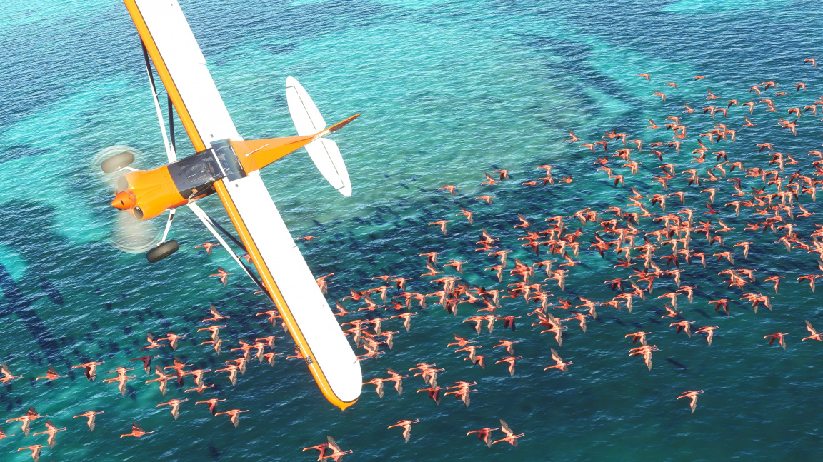 Fanoušci letadel se po letech dočkají nového Microsoft Flight Simulatoru