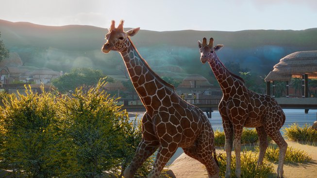 Planet Zoo je tycoon plný roztomilých zvířátek