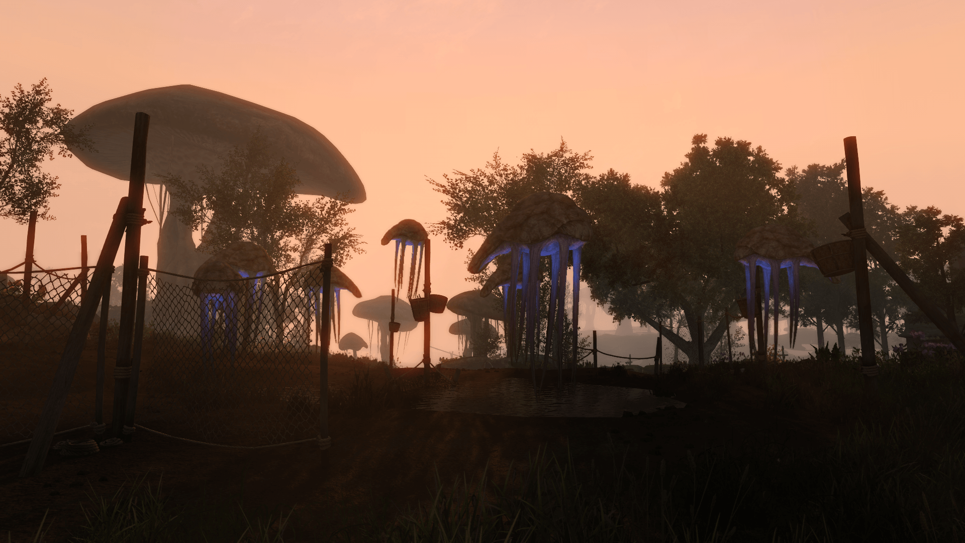 Skywind