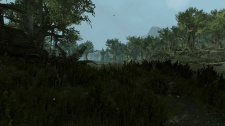 Skywind
