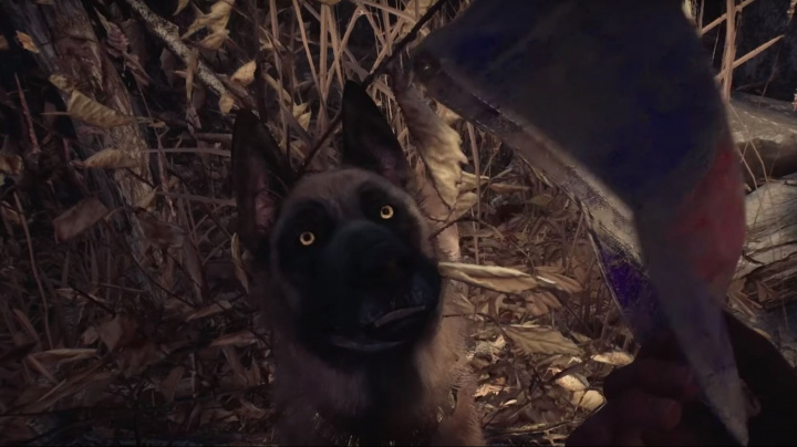 Herní horor Blair Witch ukazuje záběry z hraní s pejskem