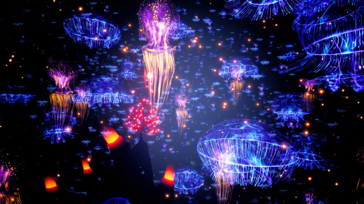 Relaxační Koral je milostným dopisem pro oceán