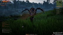 Black Desert Online