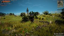 Black Desert Online