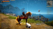 Black Desert Online
