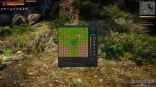 Black Desert Online