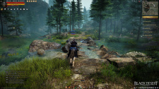 Black Desert Online