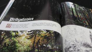 The Art of Kingdom Come Deliverance