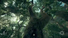 Ancestors: The Humankind Odyssey