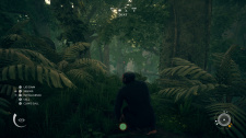 Ancestors: The Humankind Odyssey