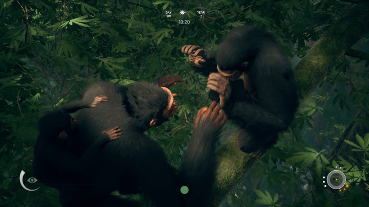 Jak hodnotí ve světě – Ancestors: The Humankind Odyssey