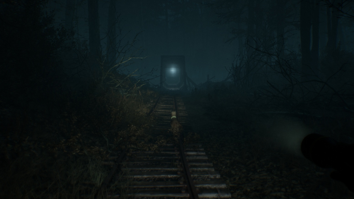 Báli jste se u Blair Witch málo? Bloober Team chystá ještě strašidelnější verzi pro virtuální realitu