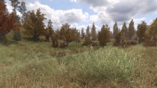 STALKER Shadow of Chernobyl Remaster mod