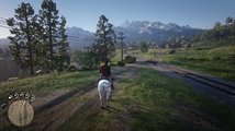 Red Dead Redemption II PC na recenzi