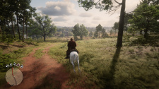 Red Dead Redemption II PC na recenzi