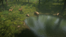 Natural Instincts